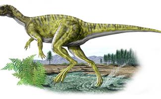 Ilustración dinosaurio
